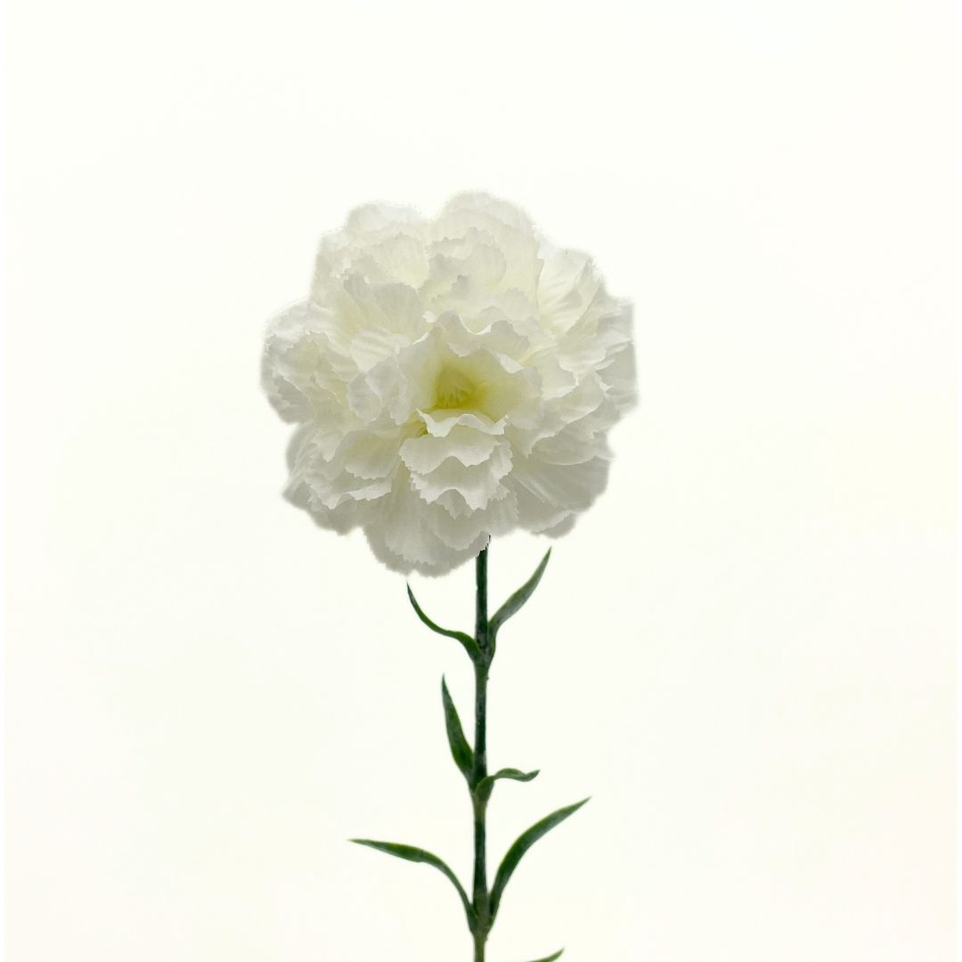 Artificial Carnation Ivory 68cm