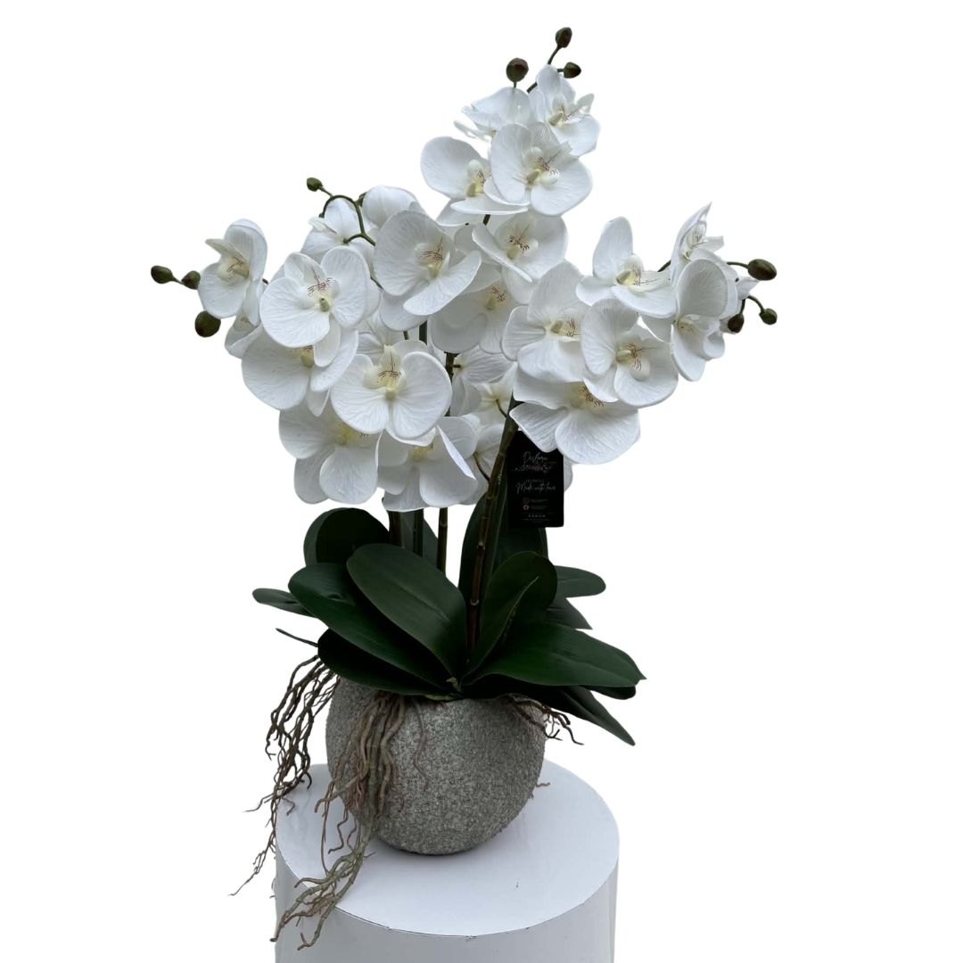 Artificial Phalaenopsis Orchid Arrangement Leah