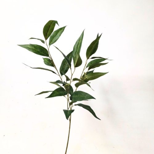 Eucalyptus Gum Leaf Spray & Seeds 75cm