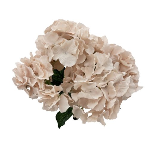 Hydrangea Bunch Morgana 5H Nude 42cm