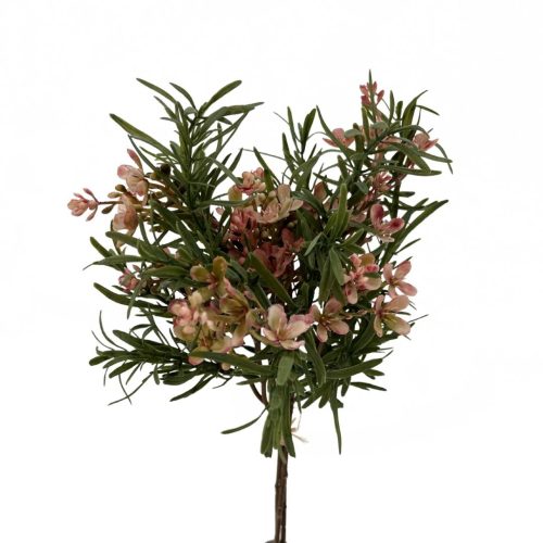 Native Wax Flower Bundle Pink 34cm