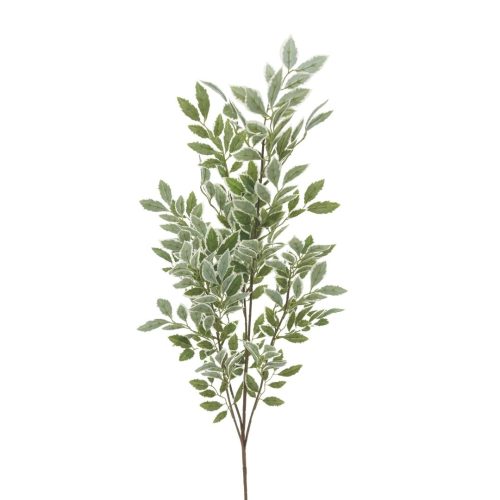 Variegated Pittosporum Branch 125cm