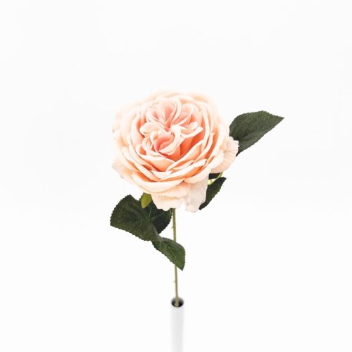 Artificial David Austin Rose Peach 50cm