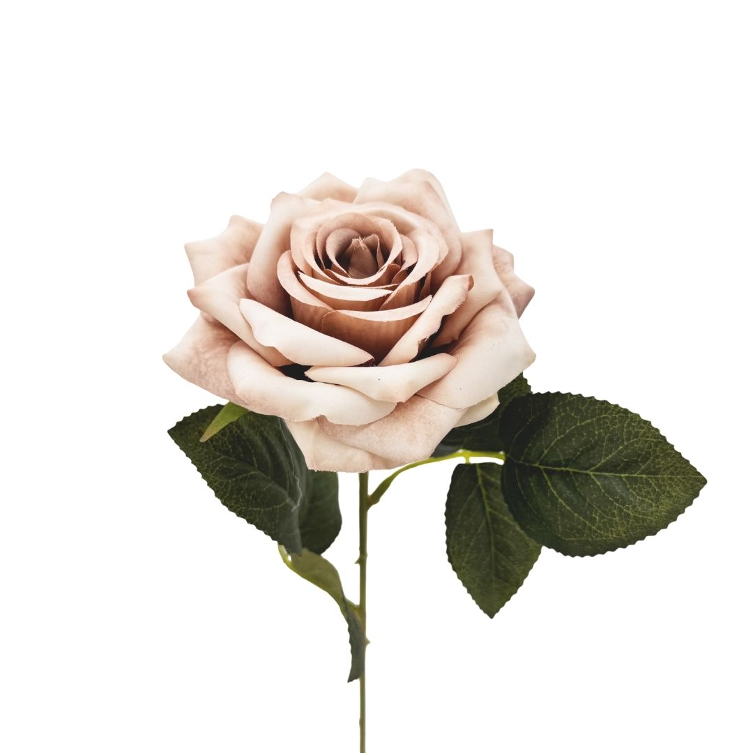 Artificial Rose Amelia Nude 50cm