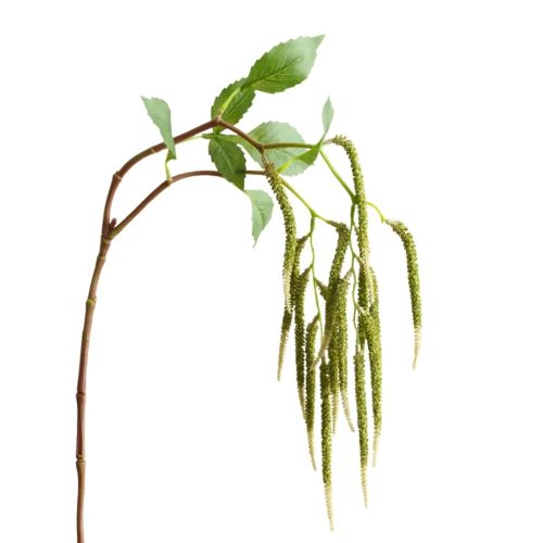 Green artificial amaranthus with a trailing flower form