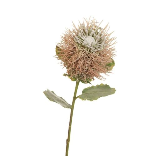 Light pink artificial banksia flower stem
