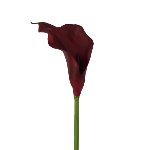 Artificial Calla Lily Zara Burgundy 61cm