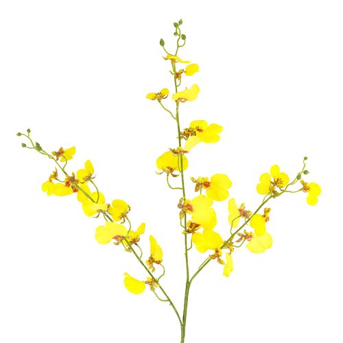 Real Touch Dancing Orchid Yellow 94cm