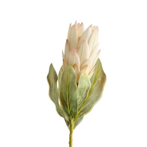 Creamy pink artificial protea flower with a distinctive sculptural bloom