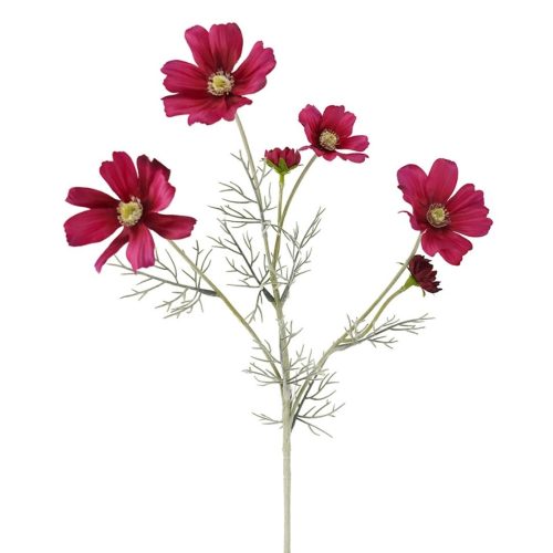 Cosmos Wild Flower Magenta 60cm